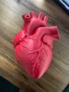 Ver.3[Latest], 0.2mm layer, 2 walls, 5% infill