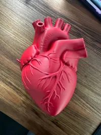 Ver.3[A1 Mini, Latest], 0.2mm layer, 2 walls, 5% infill