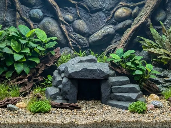 https://makerworld.bblmw.com/makerworld/model/USfd016298b1eb3c/design/00652d9ad48cdebf.png