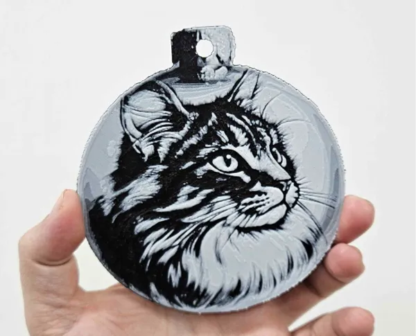 https://makerworld.bblmw.com/makerworld/model/USfd0515681c56b8/design/2024-11-26_a64992f768c6c.jpg