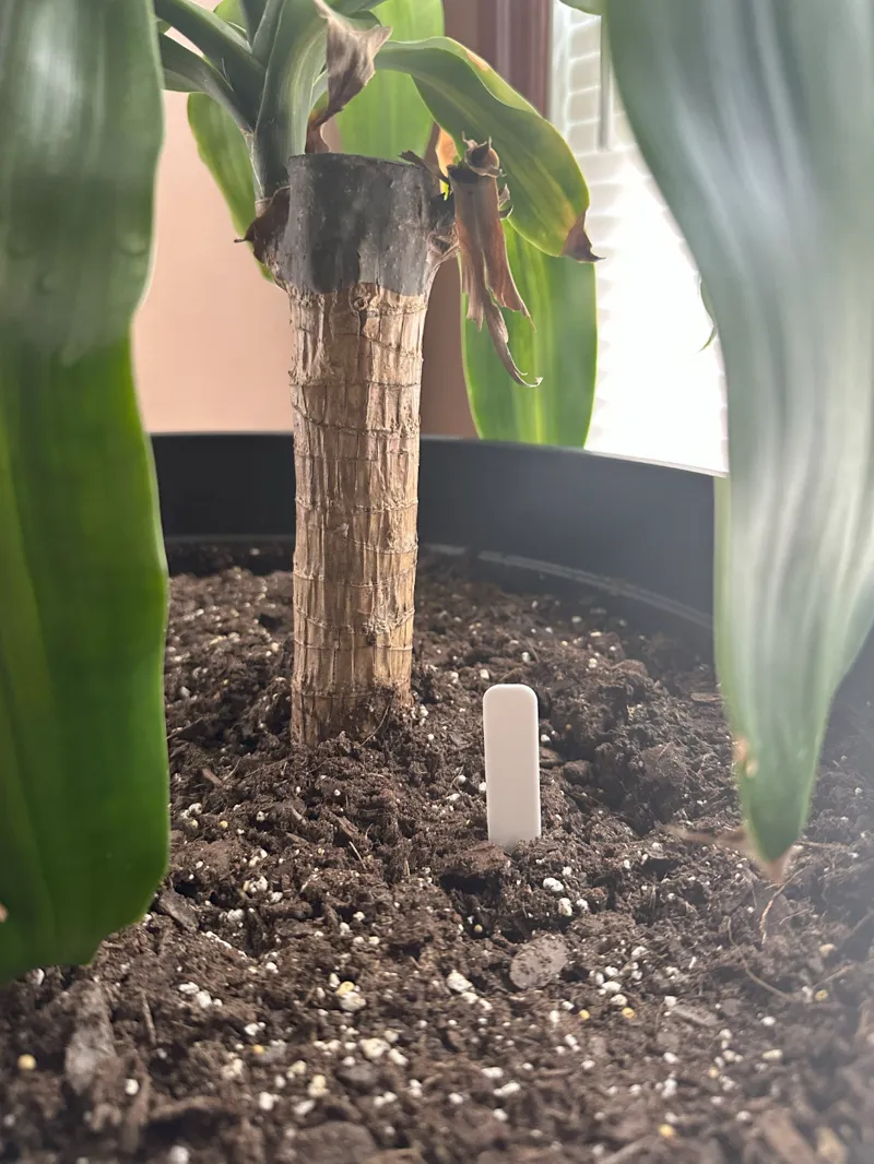 Plant Marker