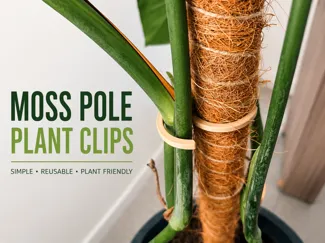 Moss Pole Plant Clips | Reusable Support