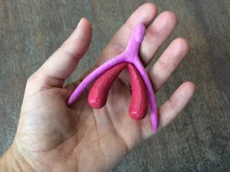 Clítoris anatómico 3D - Modelo pedagógico