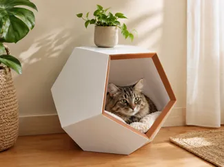 Moderne Katzenhöhle im Pentagon-Design