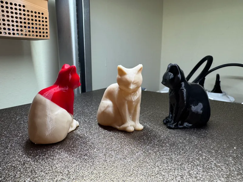 GATTO CON CODA TRA LE ZAMPE