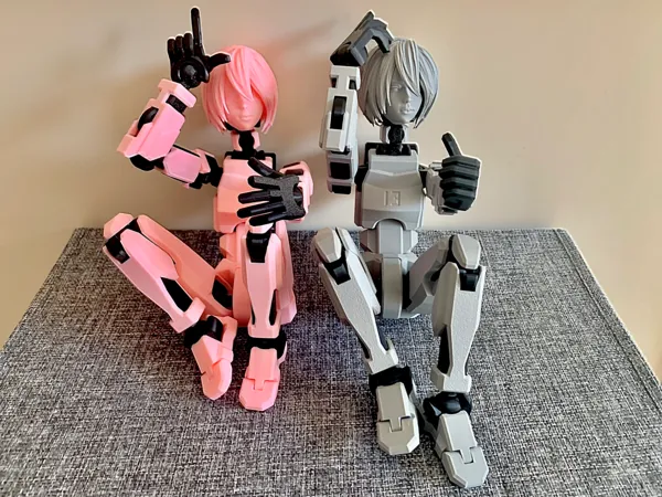 https://makerworld.bblmw.com/makerworld/model/USfd1422f6e7e2ca/design/2025-03-08_e35844c04fd868.jpg