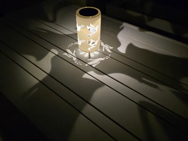 https://makerworld.bblmw.com/makerworld/model/USfd1883b6f34f06/design/1538e79788f77d5e.jpg