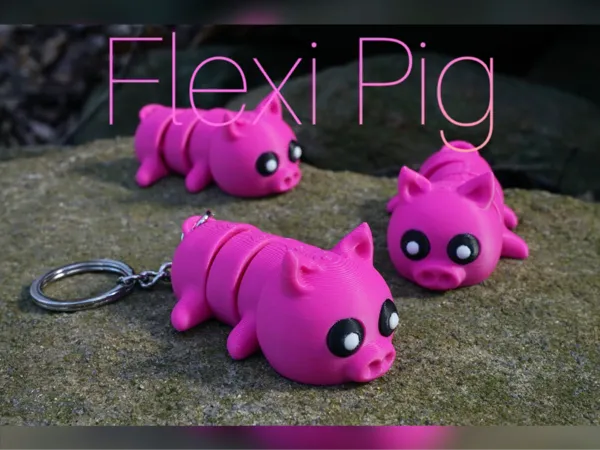 https://makerworld.bblmw.com/makerworld/model/USfd1a856126611d/design/2025-03-28_f48c1a9ea75dc.jpeg