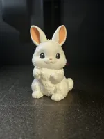 Cute Easter Bunny Singlecolor