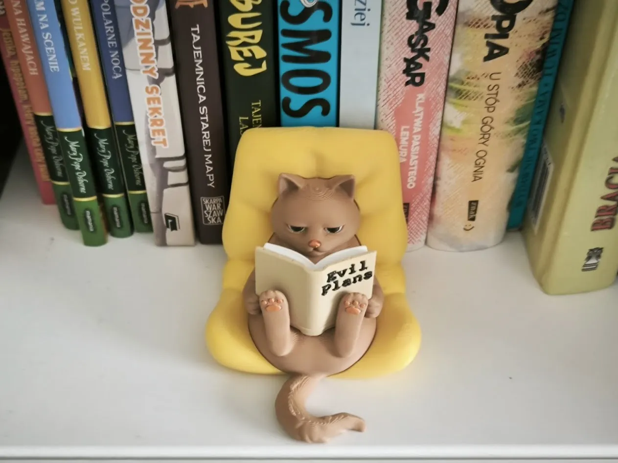 Reading Cat view 4