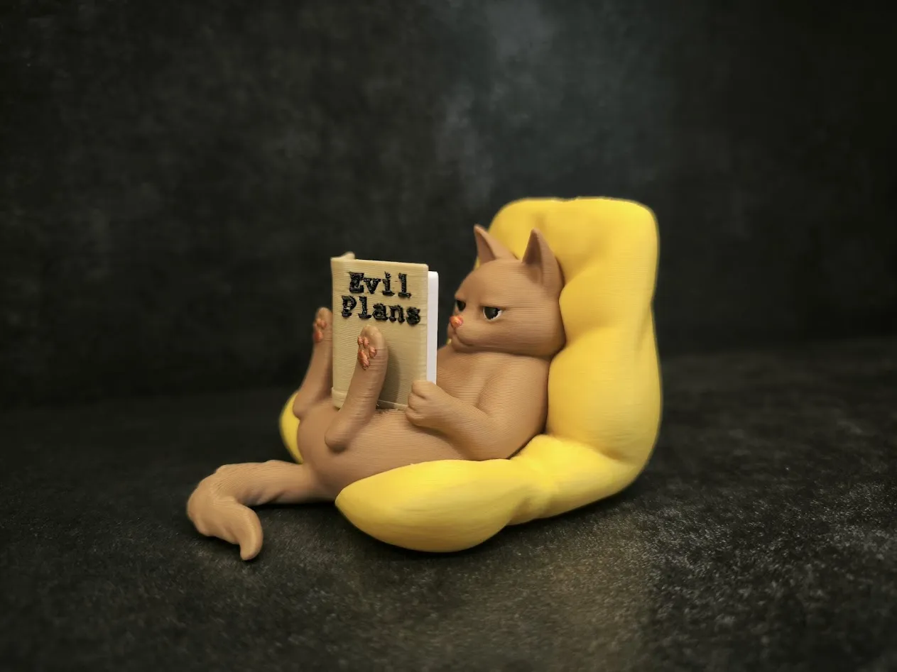 Reading Cat view 2
