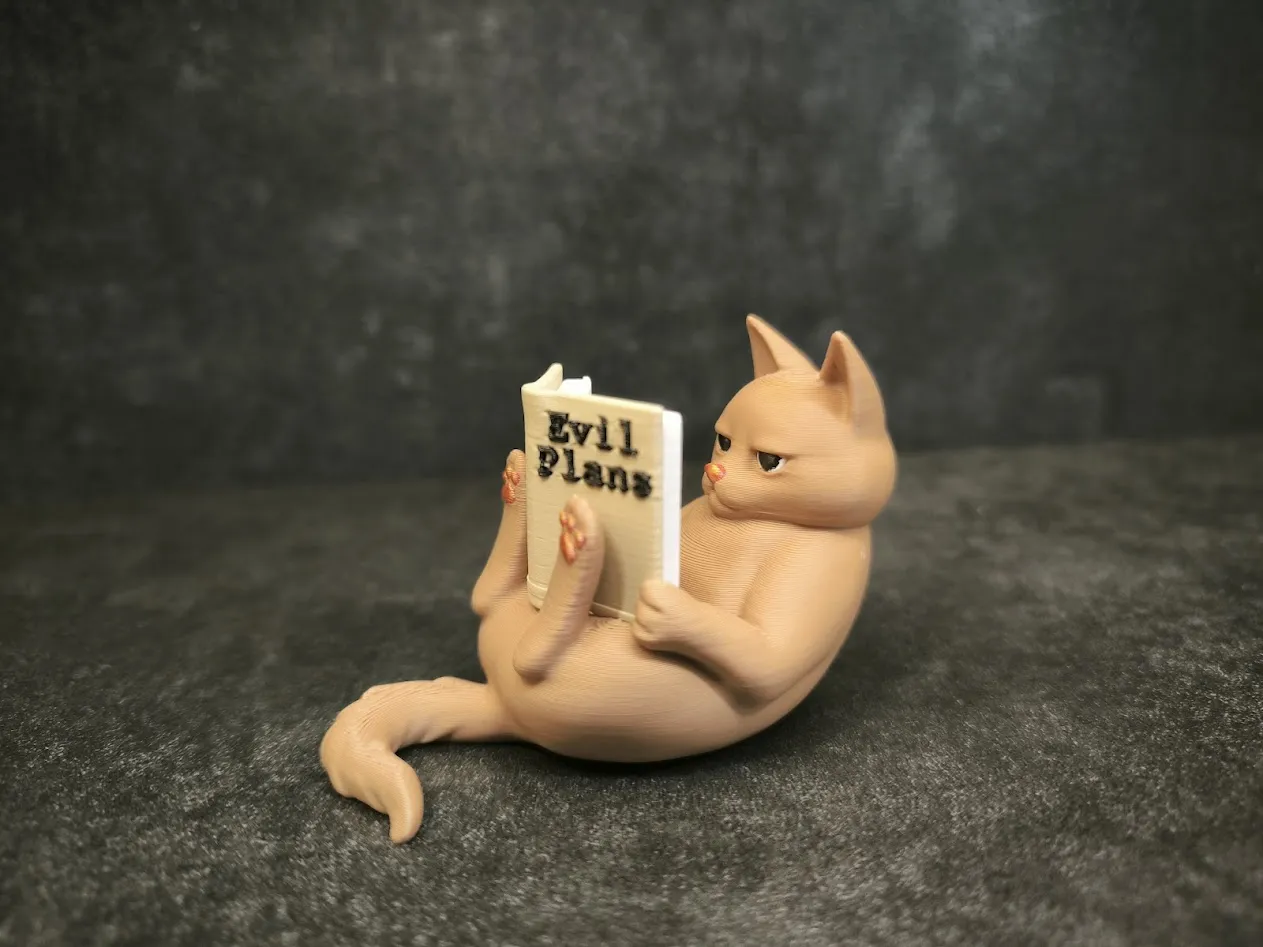 Reading Cat view 3