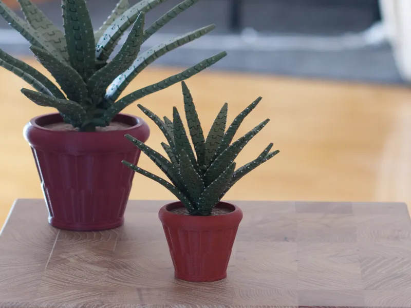TinyPlants Aloe Planter -FlexiPlants Garden series