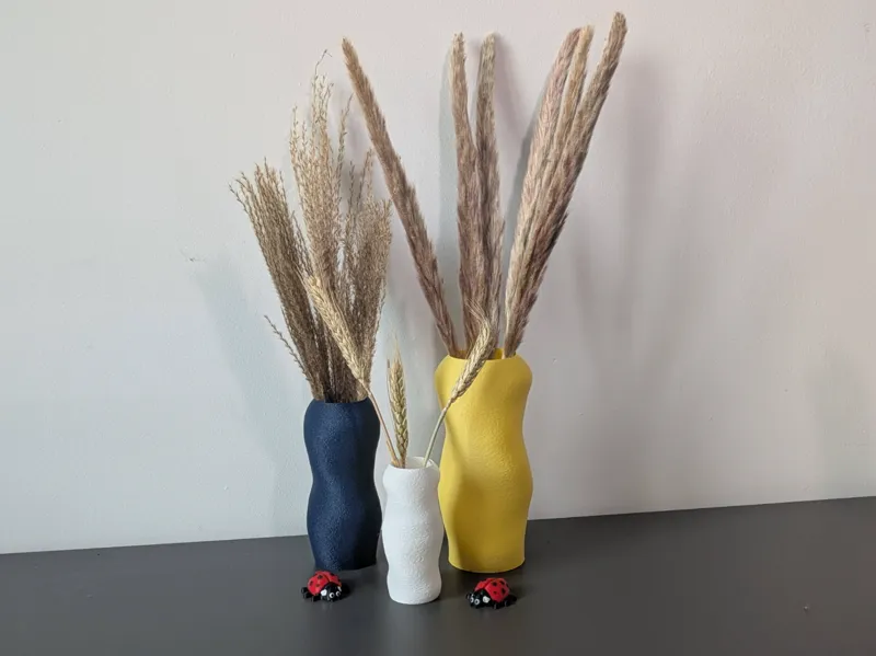 The spiral vase - Vase for decorative flowers