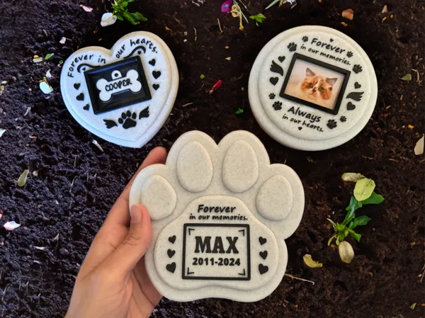 https://makerworld.bblmw.com/makerworld/model/USfd209569b398e2/design/2024-08-22_9de26bb00b372.jpg