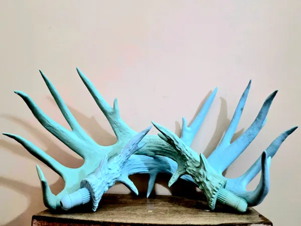 https://makerworld.bblmw.com/makerworld/model/USfd224e24329b9f/design/2025-12-26_7c50a6c810129.jpg