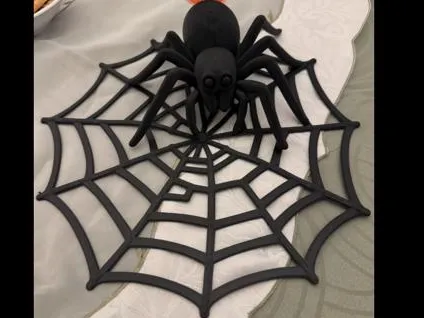 Spinne auf Netz
