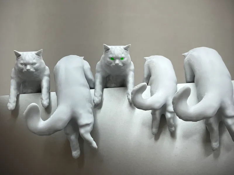ぶら下がっているだけの猫