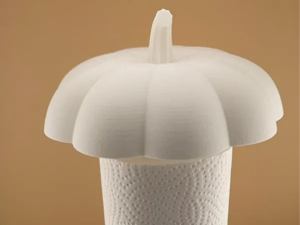 https://makerworld.bblmw.com/makerworld/model/USfd26783241c20a/design/2025-12-23_2ed7d1cfdd18a8.jpeg