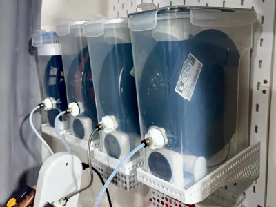 Direct Feed Filament Dryer