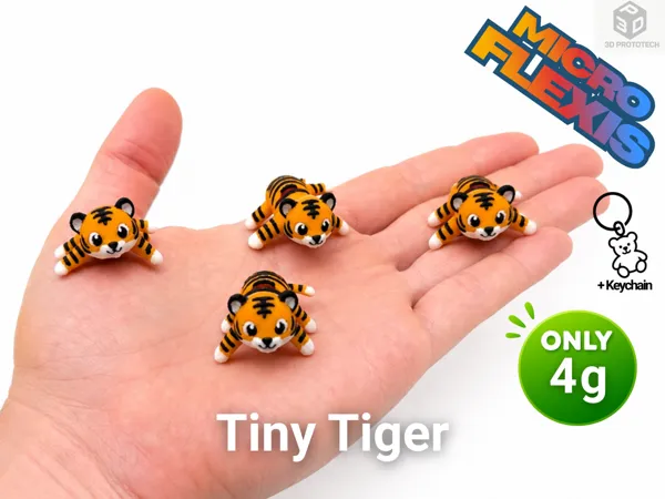 https://makerworld.bblmw.com/makerworld/model/USfd34db9538ff01/design/1a2db0467b018ee9.png