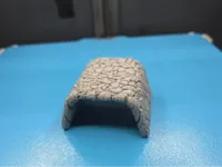 Fish hides in different