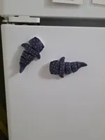 2 magnets w/ blocked keychain hole. 8x3 and 5x3