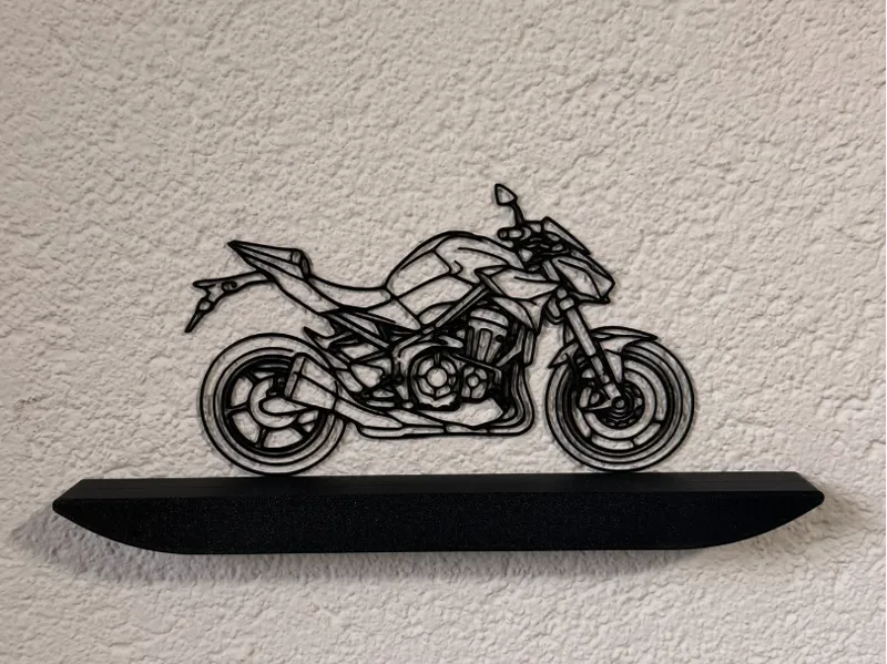 Kawasaki Z900 motorcycle wallart
