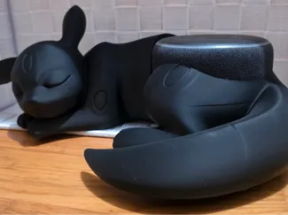 Noctali Echo