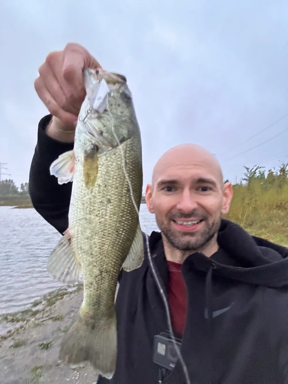 Tariff Free Lipless Crankbait 1.5 in Fishing Lure - Free 3D Print Model ...