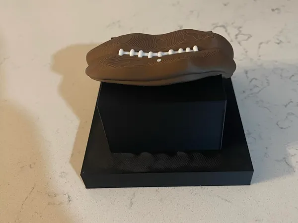 https://makerworld.bblmw.com/makerworld/model/USfd3f31a853ad56/design/2025-01-09_a190ae0afbae1.jpg