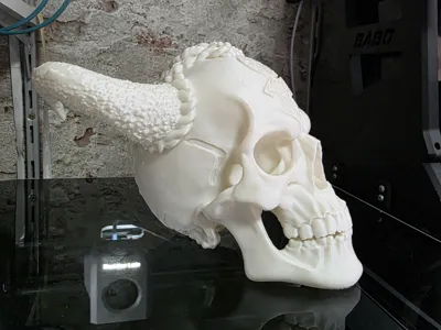 Fantasy Viking Skull