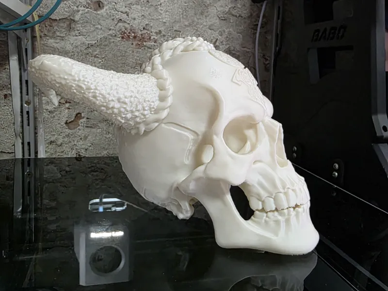 Fantasy Viking Skull
