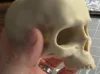0.2mm layer, 3 walls, 10% infill