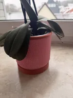 Pot strié mid-century avec soucoupe — photo 10