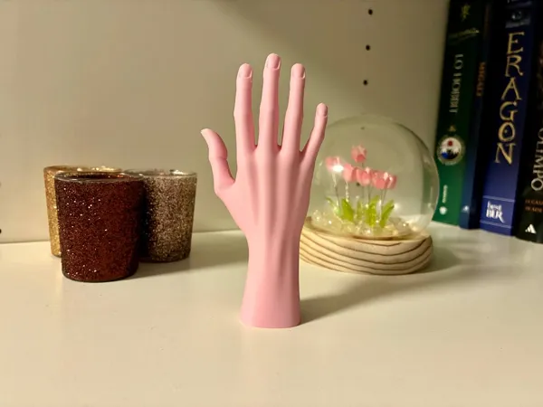 https://makerworld.bblmw.com/makerworld/model/USfd50ac6468f1c8/design/2025-05-09_3772762701cee.jpg
