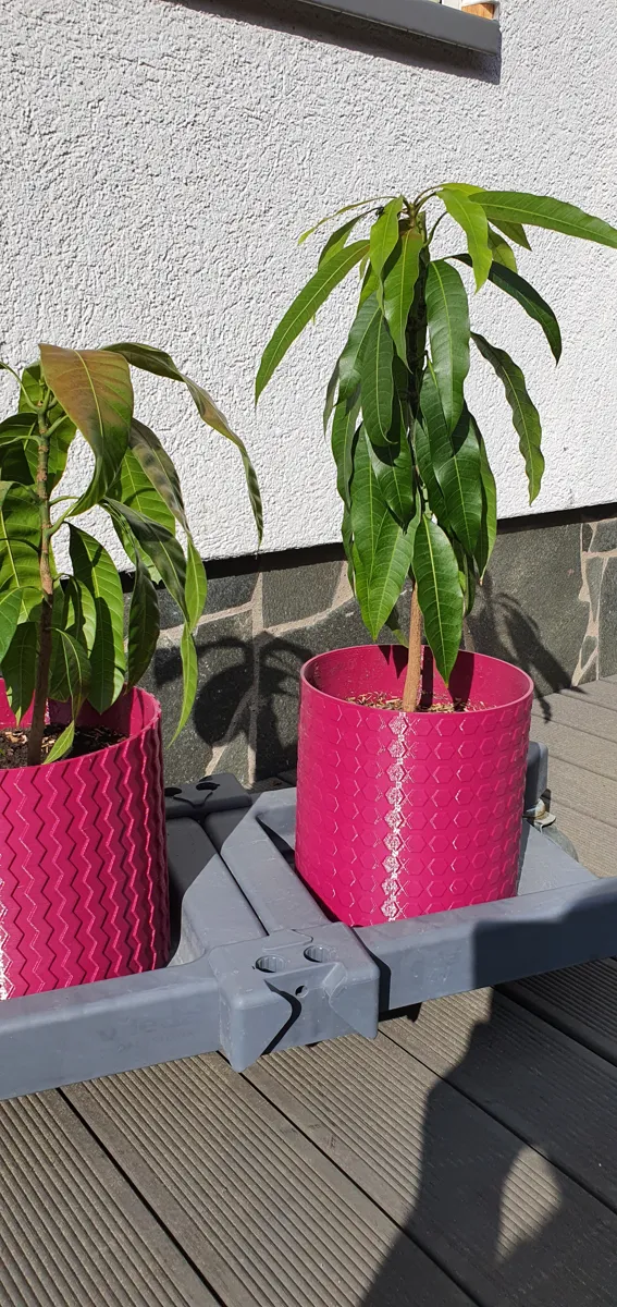 Jardinière hexagonale XL
