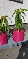 Jardinière hexagonale XL — photo 1