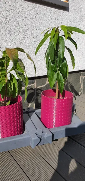 https://makerworld.bblmw.com/makerworld/model/USfd51b5e8029fa7/design/2023-11-23_syonlv5xhqg7.jpg