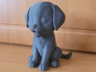 Labrador