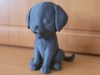 Labrador
