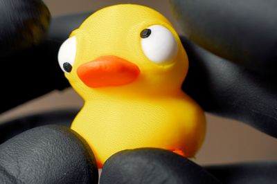 Cute Duck With Big Movable Eyes