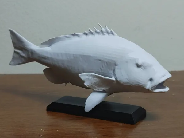 https://makerworld.bblmw.com/makerworld/model/USfd6b2b9cb85ff7/design/2025-01-17_d099f3b397a52.jpg