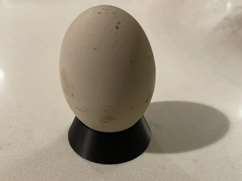 Egg stand