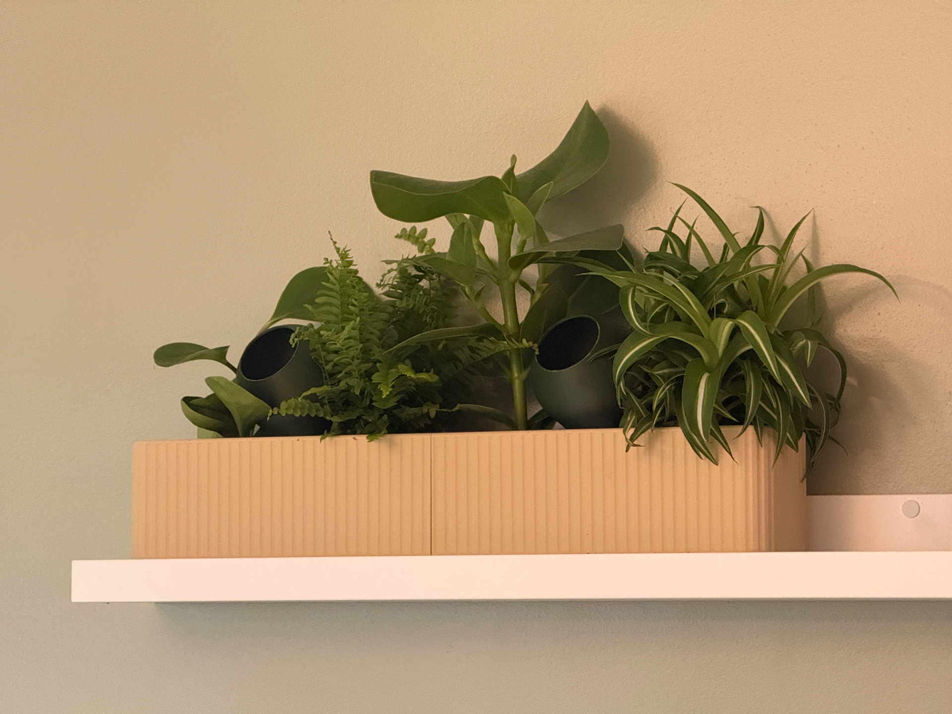 Jardinière pour étagère Ikea Mosslanda