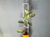 0.2mm layer, 2 walls, 10% infill