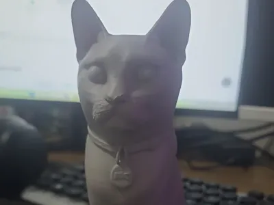 urna de gato