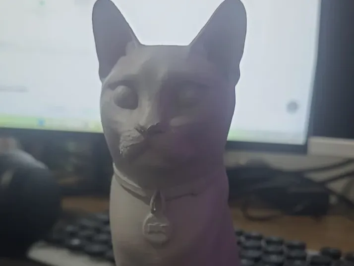 urna de gato