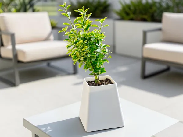 https://makerworld.bblmw.com/makerworld/model/USfd873d178ab1cb/design/b14c92161058f08a.jpg