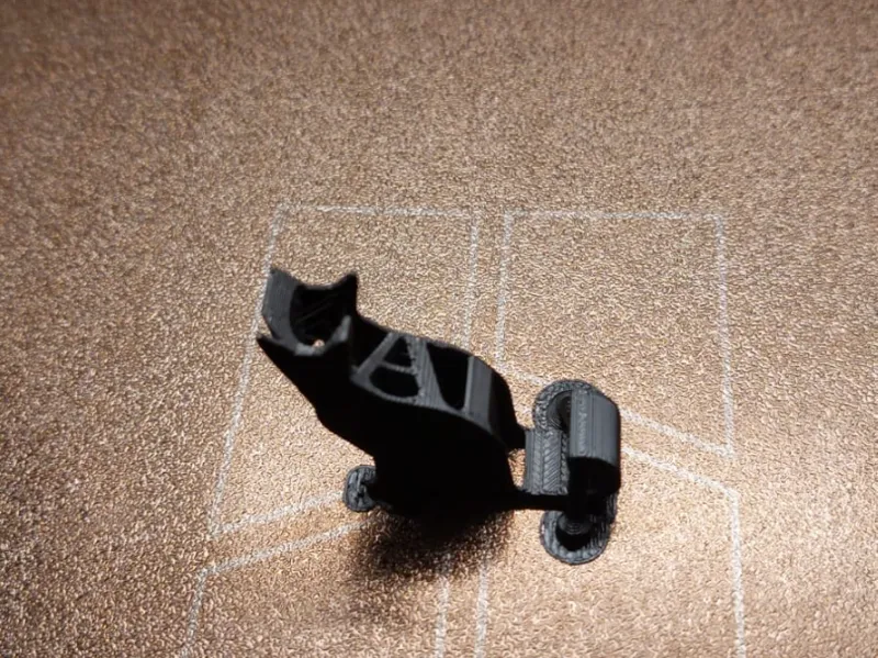 Katze mit Inschrift
